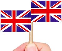Grosir Bendera Tusuk Gigi Negara Baru dan Bendera Inggris, Tusuk Mini Kecil untuk Dekorasi Kue Keping