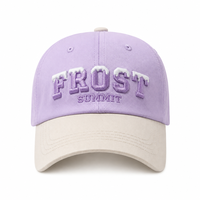 Casquette Dad Hat Bicolore Violet et Ivoire avec Logo Personnalisé, Broderie 3D en Relief, Cadeau de Printemps, Fête, Club, Campus, Lettre Premium