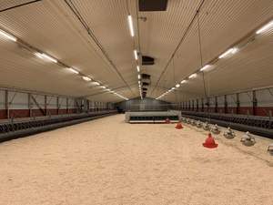 Équipement de volaille d'éclairage de volaille IP67 Bonbillo Para Granjas de Pollos <span class=keywords><strong>E27</strong></span>/HT19 ampoules LED T8/T12 tubes LED ampoules et tubes LED - Product Image 4