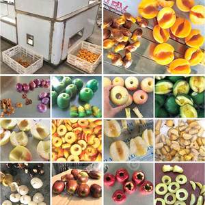 เครื่องแยกเมล็ดผลไม้ เช่น แอปเปิ้ล พุทรา อินเดียเดท และเชอร์รี่ มะกอก - Product Image 5