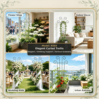 Treillis de jardin élégant en métal conique à sommet incurvé, résistant à la rouille et aux intempéries, robuste, pour patio, balcon, hôtel, vente en gros, OEM