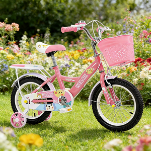 <span class=keywords><strong>Bicicleta</strong></span> Infantil MTBGO de 12 Pulgadas, Color Rosa, de Una Velocidad, para Niñas, Fabricada en China por OEM - Product Image 5