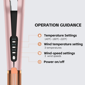 Styler multifonction 2 en 1, sèche-cheveux et lisseur, fer à lisser électrique, souffleur d'air, plancha à cheveux, flux d'air humide et sec - Product Image 4