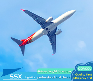 DDP Supply Express Air Freight de China a Ecuador Guyana Uruguay Filipinas con agente de carga de despacho de aduana de doble cara - Product Image 6