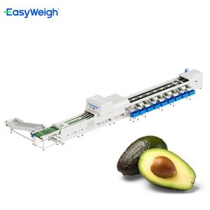 Avocado Sorteerlijn Rijpe Sorteermachine Automatische Vruchtgewicht Grader Avocado Grootte Sorteermachine Interne Kwaliteit - Product Image 1