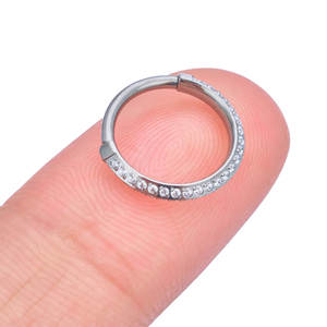 G23 Titanio 16G Pendientes de moda Nariz Oreja Piercing Anillo Cartílago Daith Aro Segmento con bisagras ASTM F136 Tit Zircon Joyería para el cuerpo - Product Image 5