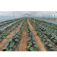 Serre agricole multi-travées à structure en acier de grande taille avec des largesurs de 8m/10m/12m pour la production agricole commerciale