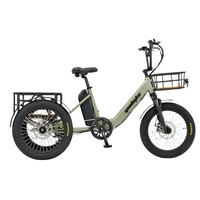 Geobyke Vélo cargo électrique à 3 roues de 20 pouces 48V 250W Nouvelle batterie au lithium LCD Moteur de moyeu arrière Frein à disque Vélo cargo électrique