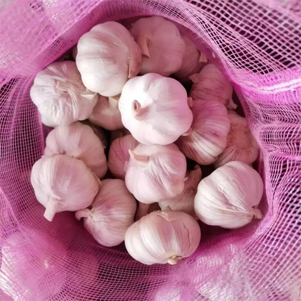 Garlic Price Per Ton Fresh Garlic Wholesale Cheap Price Chinese Optimum Garlic Alho