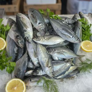 <span class=keywords><strong>Filetes</strong></span> de Caballa Congelados de Alta Calidad, 80-100g, Nutritivos, Ricos en Omega-3, Mariscos, Suministro al por Mayor <span class=keywords><strong>para</strong></span> Cadenas de Restaurantes - Product Image 1