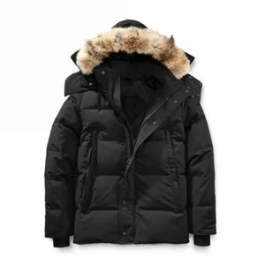 Chaqueta de Plumón de Invierno Personalizada de Alta Calidad para Hombre con Bolsillo, Brillante, Repelente al Agua, Talla Grande, Transpirable - Product Image 2