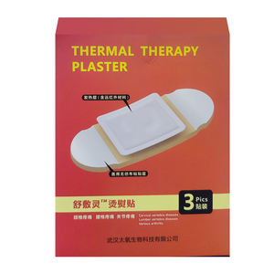 BTメディカル伝統的な中国のハーバルプラスターパッチ体と背中の痛みを軽減 - Product Image 5