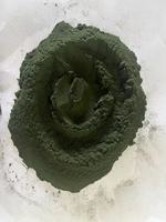 Poudre de spiruline de haute qualité pour petits poissons