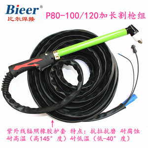 Bieer Plasma Cutting Torch P80 60-100A Manual Control For Mild Steel - Product Image 2