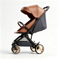 Poussette Weilebao Super Légère en Alliage d'Aluminium, Valise de Luxe pour Voyage en Avion, Capacité de Charge de 15 kg, 0-3 Ans