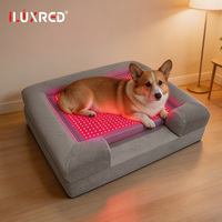 Appareil de thérapie par lumière rouge ILUXRED pour animaux, équipement vétérinaire professionnel de thérapie LED infrarouge proche pour chiens et chats, vente en gros