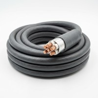 Cable Eléctrico BBTRZ de 5 Núcleos de Cobre Flexible con Aislamiento Mineral y Cubierta LSOH Resistente al Fuego, Estándar IEC 0.6/1kV para Alimentación de Edificios