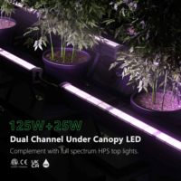 HongYi 125W + 25W LED élèvent des bandes lumineuses contrôle à double canaux avec spectre complet réglable rouge moyen + FR et UV PPE2.8 sous l'auvent LED