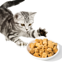 Friandises pour animaux de compagnie, saumon lyophilisé, 100% viande, pour chiens et chats, nourriture pour animaux de compagnie riche en protéines