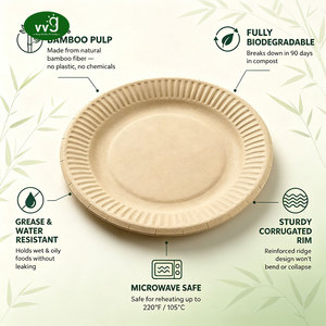 Assiettes en papier de pulpe de bambou VVG, jetables, biodégradables, écologiques, <span class=keywords><strong>prix</strong></span> d'usine pour les fêtes, les barbecues, les pique-niques, la restauration - Product Image 2