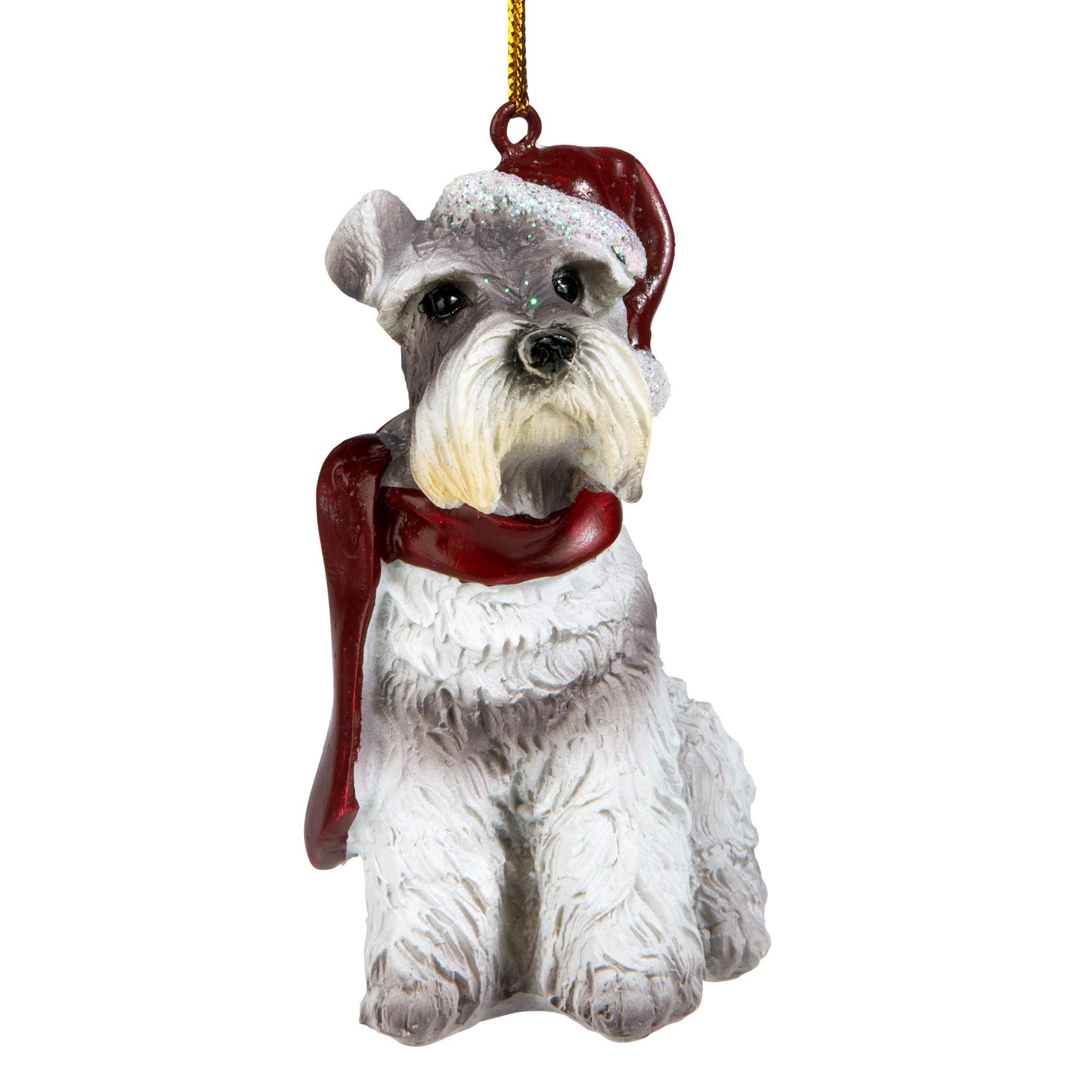 Schnauzer miniature