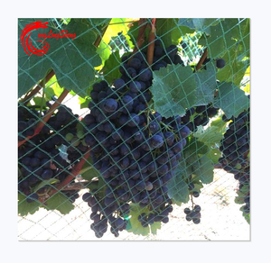 Easy Installation HDPE Vineyard Side Net Plastic Nets