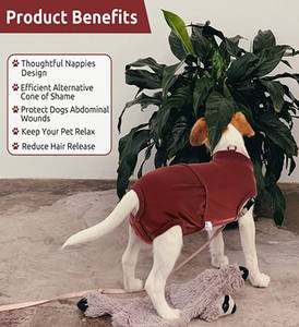 Ropa para mascotas, abrigo impermeable a prueba de viento para perros, forro polar y algodón forrado, chaqueta cálida para perros, ropa con capucha de lana para perros - Product Image 6