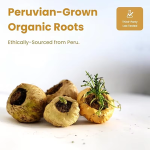 Capsules de Maca noire de qualité supérieure en gros, extrait de Maca péruvien 100% pur, complément énergétique, de vitalité et de résistance pour les hommes adultes - Product Image 5