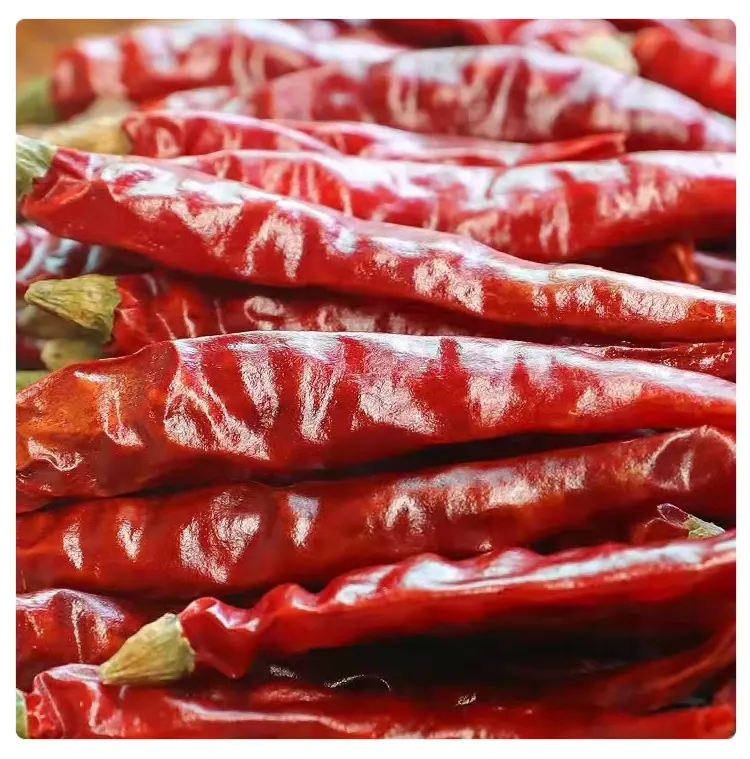 Spezie all'ingrosso peperoncino essiccato peperoncino in polvere peperoncino rosso essiccato pepe buon colore aroma forte 2024 nuovo raccolto