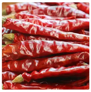 Vente en gros d'épices piment séché en poudre piment rouge séché bonne couleur arôme fort 2024 nouvelle récolte