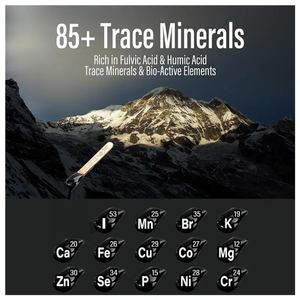 راتنج شيلاجيت عالي الجودة مكمل للدماغ معادن متعددة حمض الفوليك راتنج شيلاجيت راتنج هيمالايا هيلازي نقي - Product Image 2