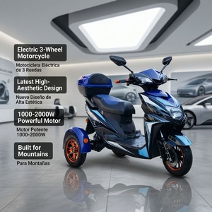 <span class=keywords><strong>Moto</strong></span> électrique tout-terrain à <span class=keywords><strong>3</strong></span> <span class=keywords><strong>roues</strong></span> 1000W 2000W pour la montée en pente, frein à disque hydraulique avec écran LCD multifonctionnel - Product Image 3