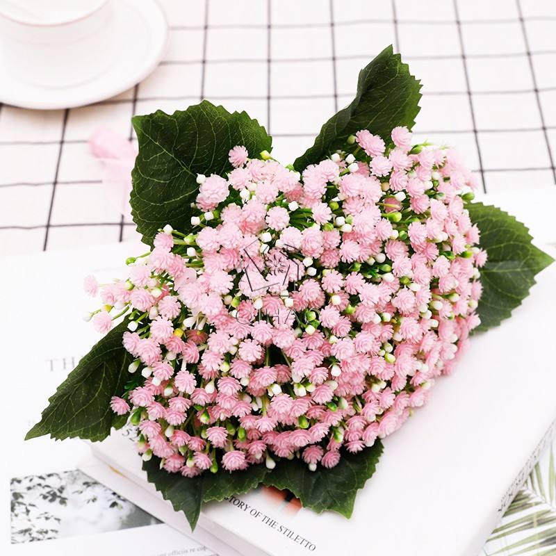 สี03-ชมพู