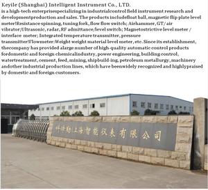 Magnetostrictive cấp mét và mức độ máy phát cho xử lý nước thải nhà máy với công nghệ tiên tiến - Product Image 6