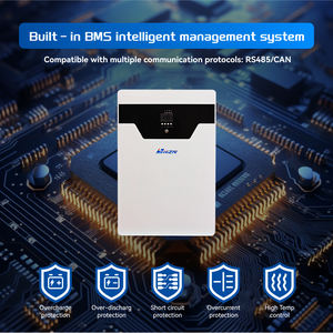 Prestazioni ottimali 51.2V 100Ah agli ioni di litio up batteria tipo di prodotto Premium - Product Image 6