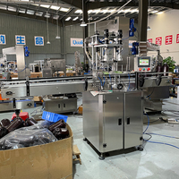 Machine de capsulage pneumatique à double tête pour fûts en plastique de grande taille pour bière artisanale, haute efficacité