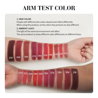 Rouge à lèvres Julystar, 10 couleurs différentes, facile à porter, imperméable, longue tenue, texture velours mate, saveur fruitée, 2,9 g