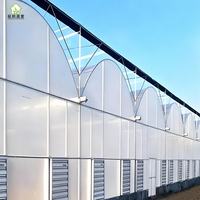 Serres agricoles de grande envergure personnalisées en usine avec plusieurs modes de ventilation et systèmes hydroponiques