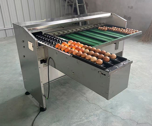 Excelente Máquina Clasificadora y Empacadora de Huevos, Máquina Clasificadora de Huevos Mecánica, Máquina Clasificadora de Huevos <span class=keywords><strong>Moba</strong></span> - Product Image 5