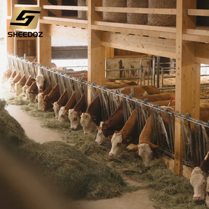 Điều Kiện Mới Mạ Kẽm Chăn Nuôi Trung Chuyển Máng Duy Nhất Bunk Thiết Bị Với Headlock Cho Trang Trại Gia Súc Bán Thực Phẩm Trang Trại Hàng Rào - Product Image 1