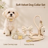 Ensemble de collier pour chien en velours premium avec gravure de logo, laisse en corde, nœud papillon marin pour chien, ODM OEM, couleur unie, fournitures pour animaux de compagnie, faible MOQ
