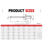 Noyau en aluminium direct d'usine tirant des rivets couleur Pop Rivet