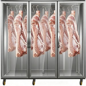 Réfrigérateur commercial avec garantie d'un an, réfrigérateur et <span class=keywords><strong>congélateur</strong></span> pour équipement de cuisine - Product Image 5