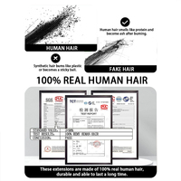 Extensions de cheveux humains 100% Ombré Brun 16-26 pouces, Queue de cheval à enrouler magique à clipser, Faite à la machine, Cheveux Remy, Lisse, Vente en gros