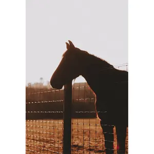 Nhúng nóng mạ kẽm đồng cỏ trang trại lĩnh vực hàng rào trang trại hàng rào Bảng điều khiển chăn nuôi ngựa gia súc hàng rào động vật hàng rào