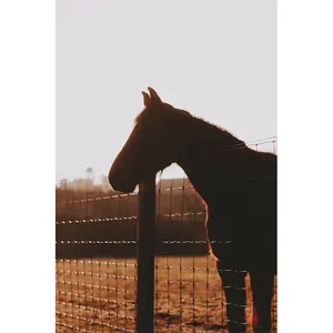 Quente mergulhado galvanizado pastagem fazenda campo cerca Fazenda cerca painel Pecuária Painéis Cavalo gado cerca animal barreira