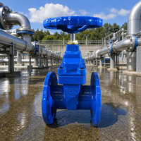 Vanne à opercule à siège souple Z45X en fonte ductile GGG50 PN10 PN16 à tige non élévatrice à brides DIN/EN 1092-2 avec volant pour eau