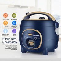 Mini Cuiseur à Riz Électrique Faible en Glucides 18L 110V/220V Source Usine