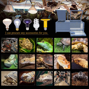 Woodville commercio all'ingrosso all'aperto gabbia di tartaruga chiudibile a chiave Habitat per interni esterni scatola di legno tartaruga rettile involucro - Product Image 3