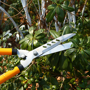 Outils de jardinage pour clôtures, haies vertes, pelouses et aménagements paysagers : Sécateurs - Product Image 6